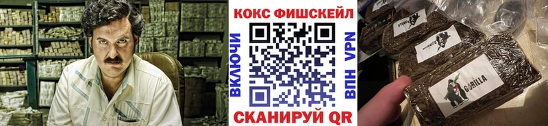 мориарти телеграм Омск COCAIN Эквадор