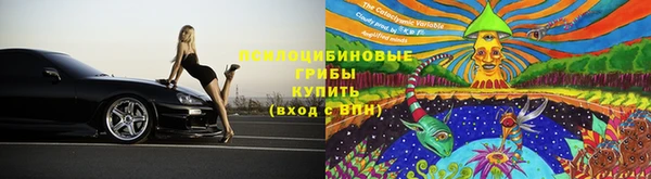 прущий лед Михайловск