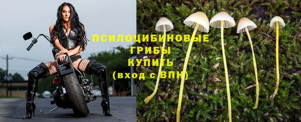 хмурый Михайлов