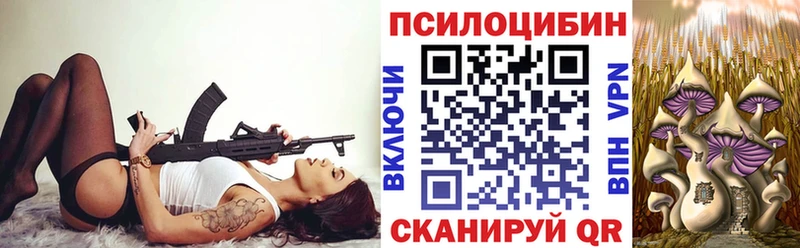 где продают   Омск  Галлюциногенные грибы мицелий 