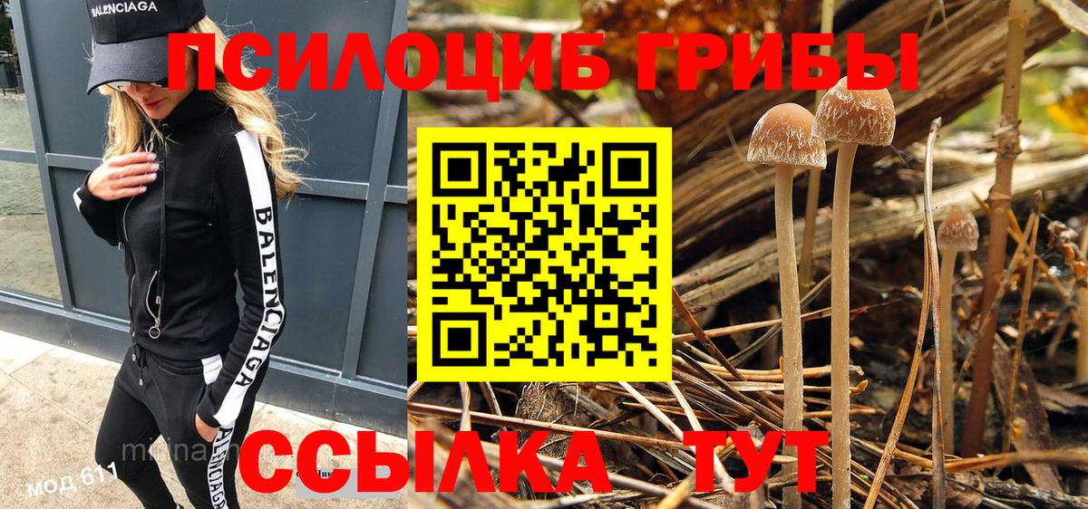 Галлюциногенные грибы Cubensis  Омск 